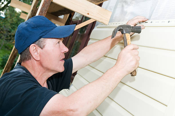 Best Insulated Siding Installation  in Terry, MS