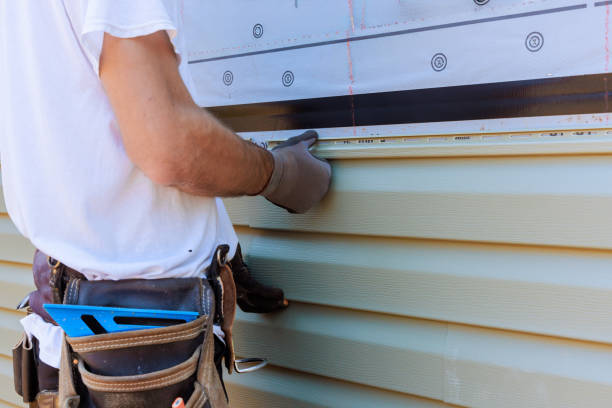 Best Stucco Siding  in Terry, MS